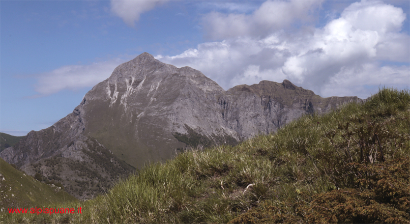 La Pania della Croce e il Naso dell'Omo Morto dal monte Croce