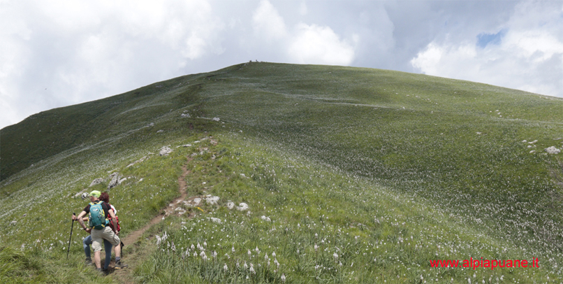 Monte Croce fiorito di giunchiglie