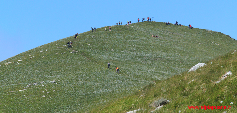 Monte Croce fiorito di giunchiglie