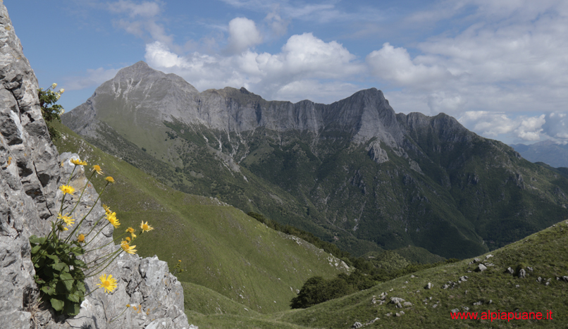 Il Gruppo delle Panie dal Colle delle Baldorie