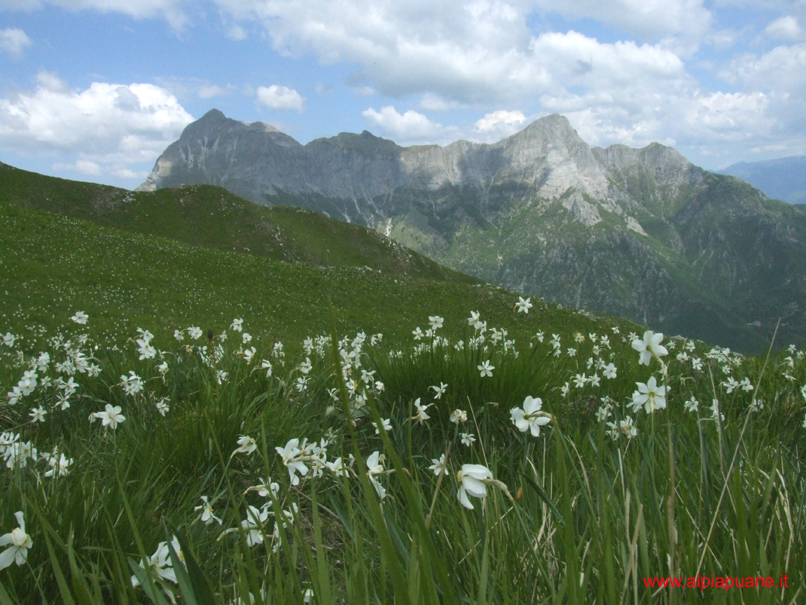 Il Gruppo delle Panie dal monte Croce