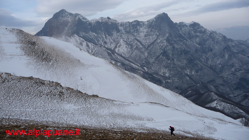Monte Croce veduta Gruppo delle Panie