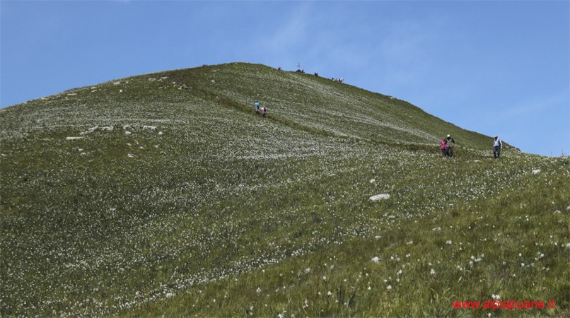 Il Monte Croce fiorito di giunchiglie, veduta dal Colle delle Baldorie