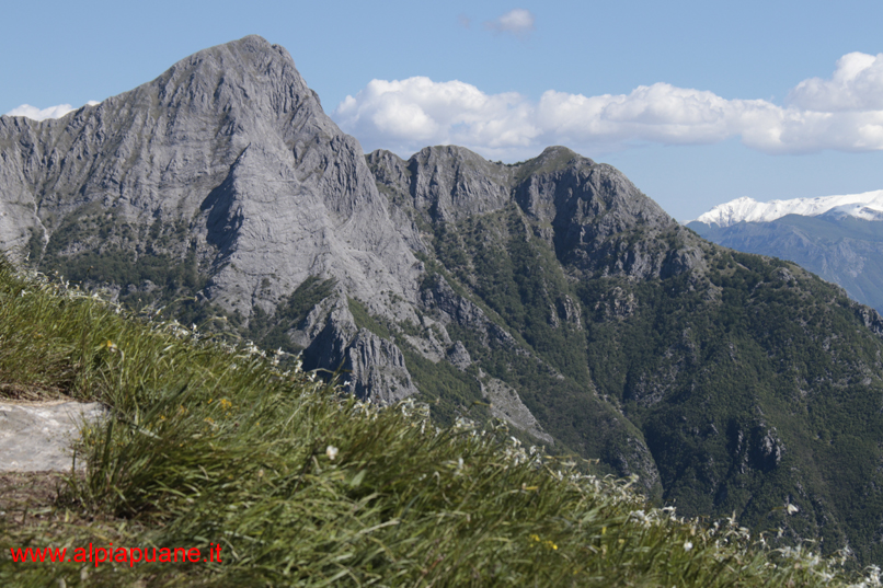 Pania Secca con la cresta Gialuga e la Pania Verde dal monte Croce