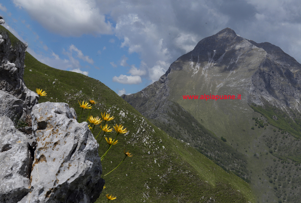 La Pania della Croce dal Col delle Baldorie
