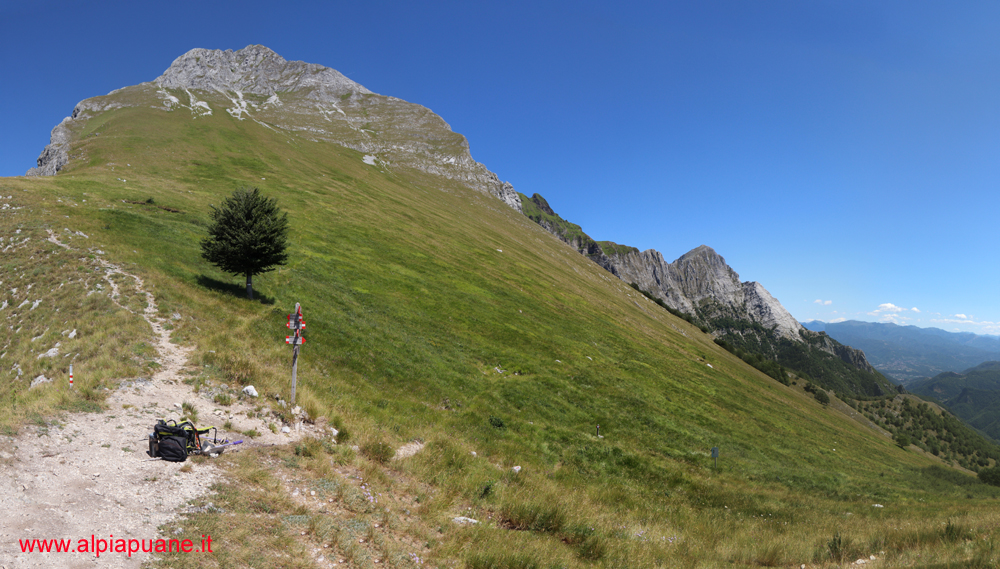 Pania della Croce dalla Foce di Valli