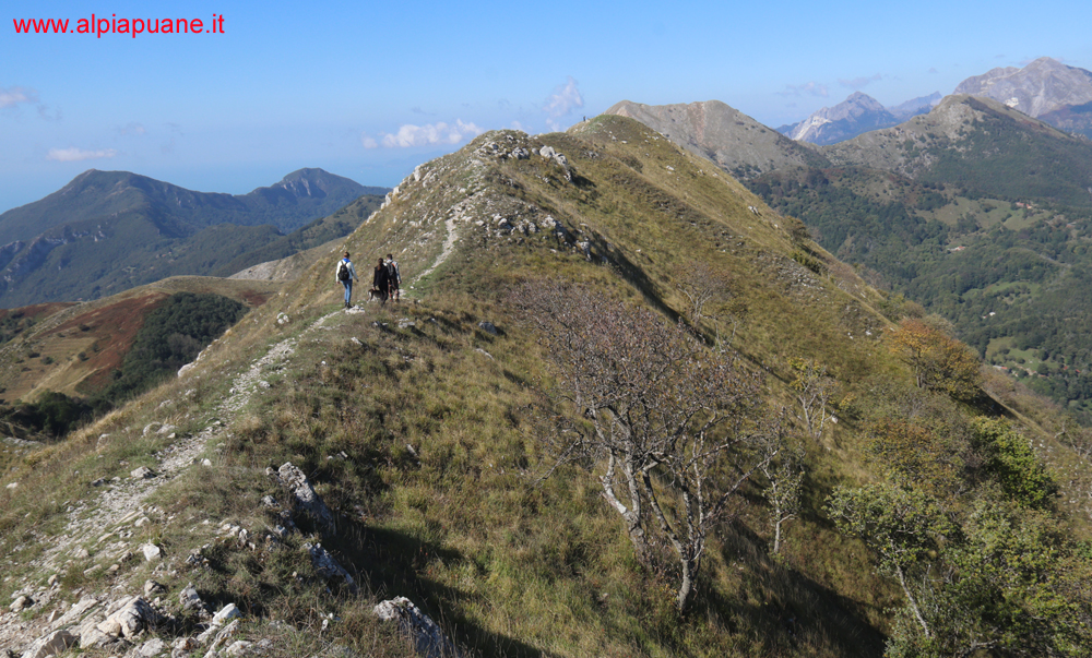 Cresta monte Piglione, veduta: Gabberi, Matanna, Altissimo, Nona e Pania