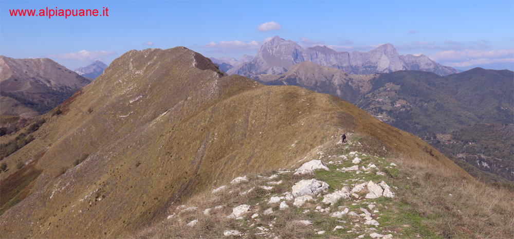 Cresta monte Piglione e Gruppo delle Panie