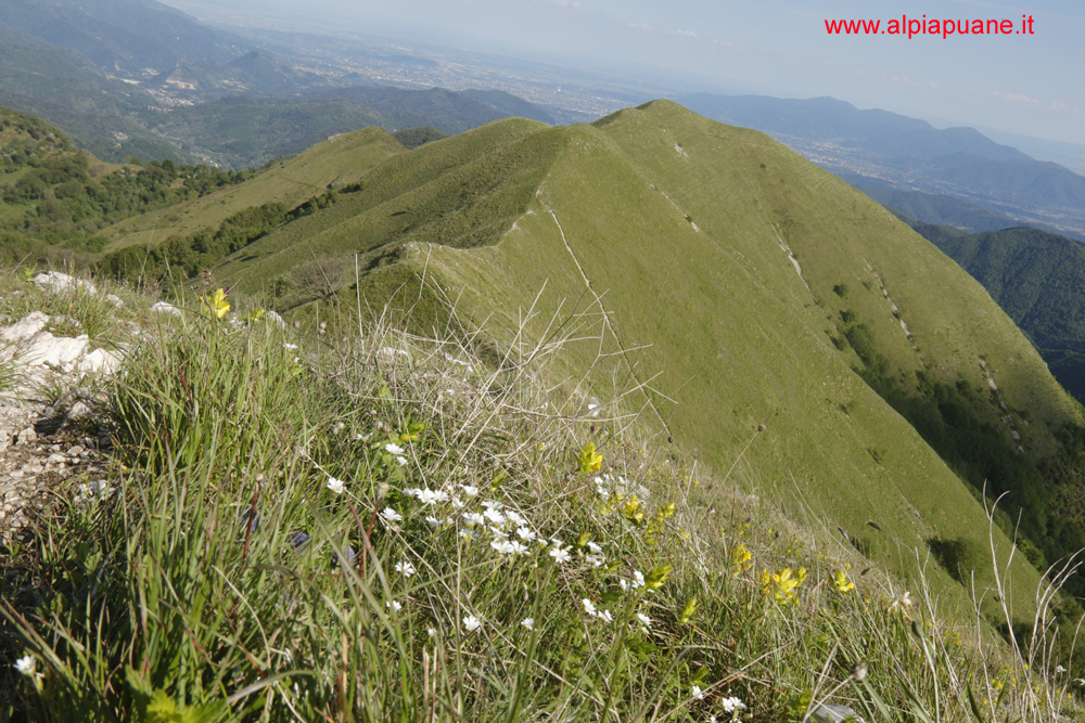 Cresta monte Piglione