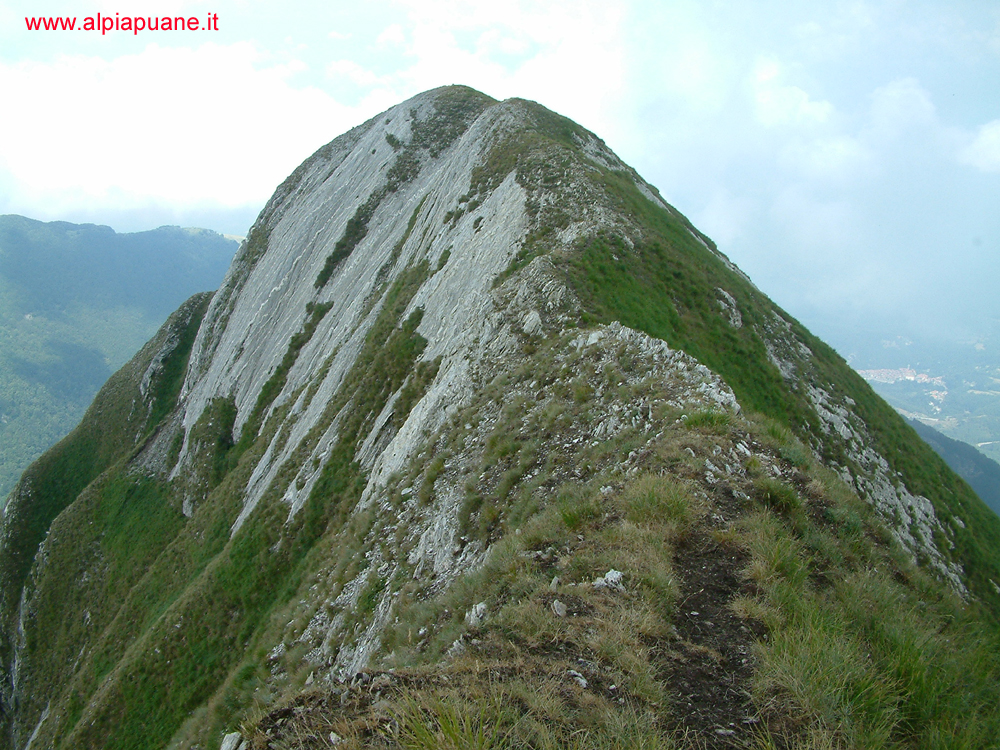 Cresta monte Pisanino