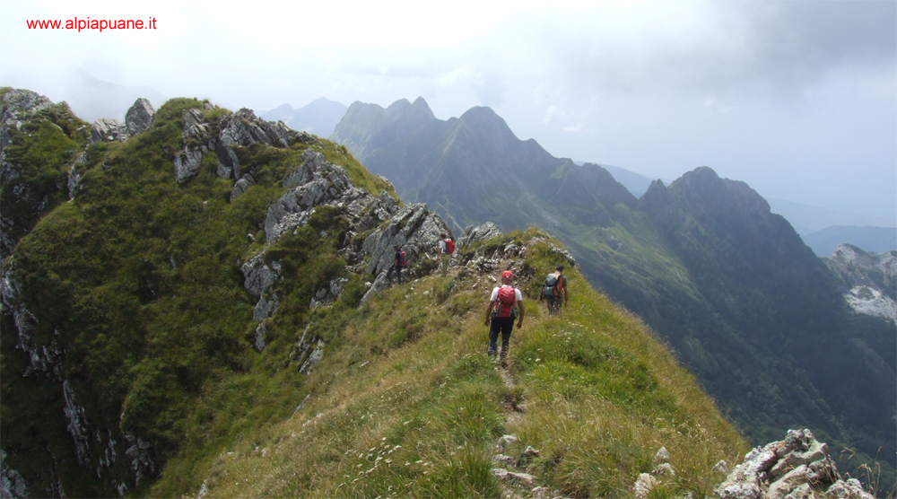 Discesa dal monte Pisanino