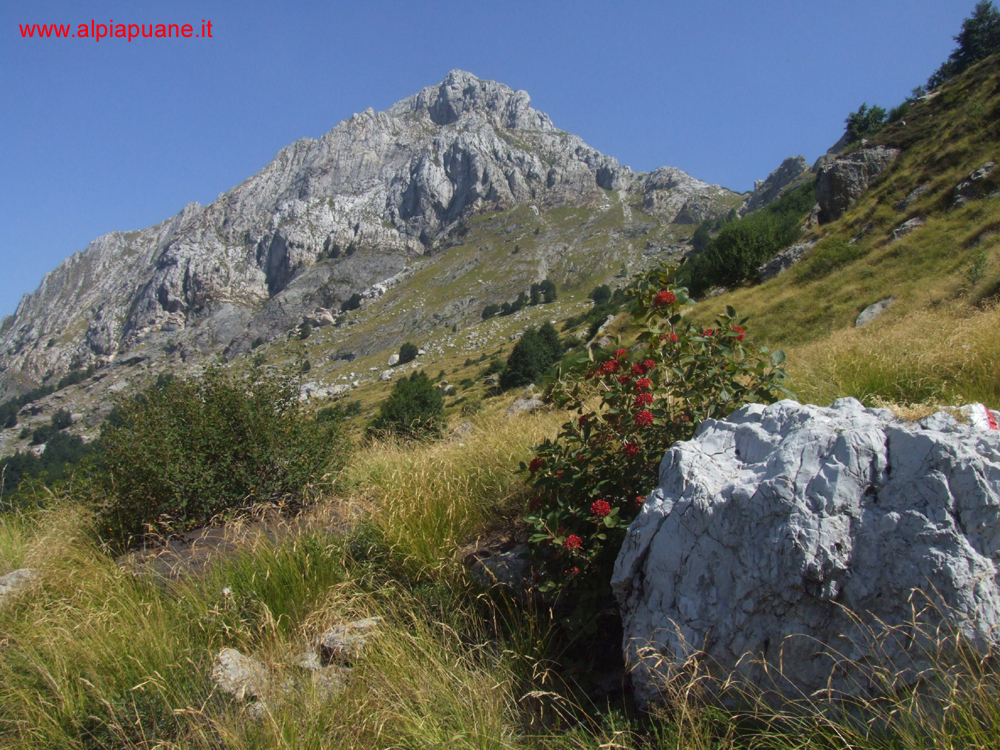 Pizzo d'Uccello dal sentiero n.37