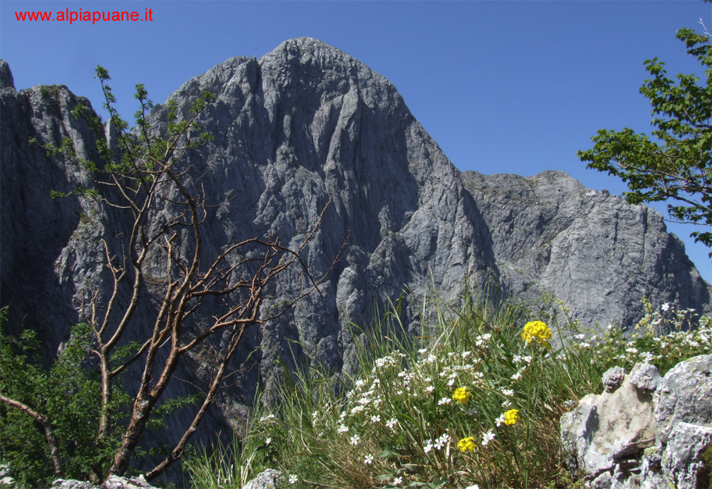 Parete Nord Pizzo d'Uccello