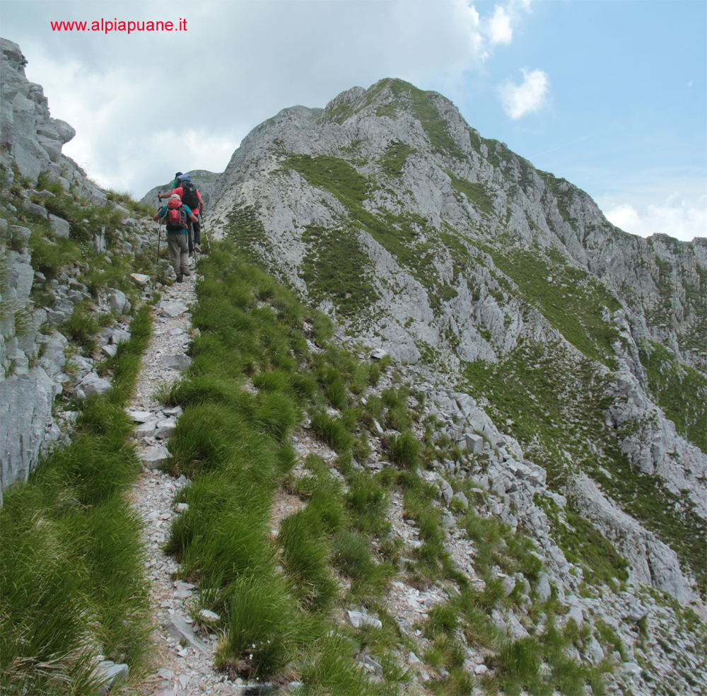 Sentiero per il Pizzo delle Saette