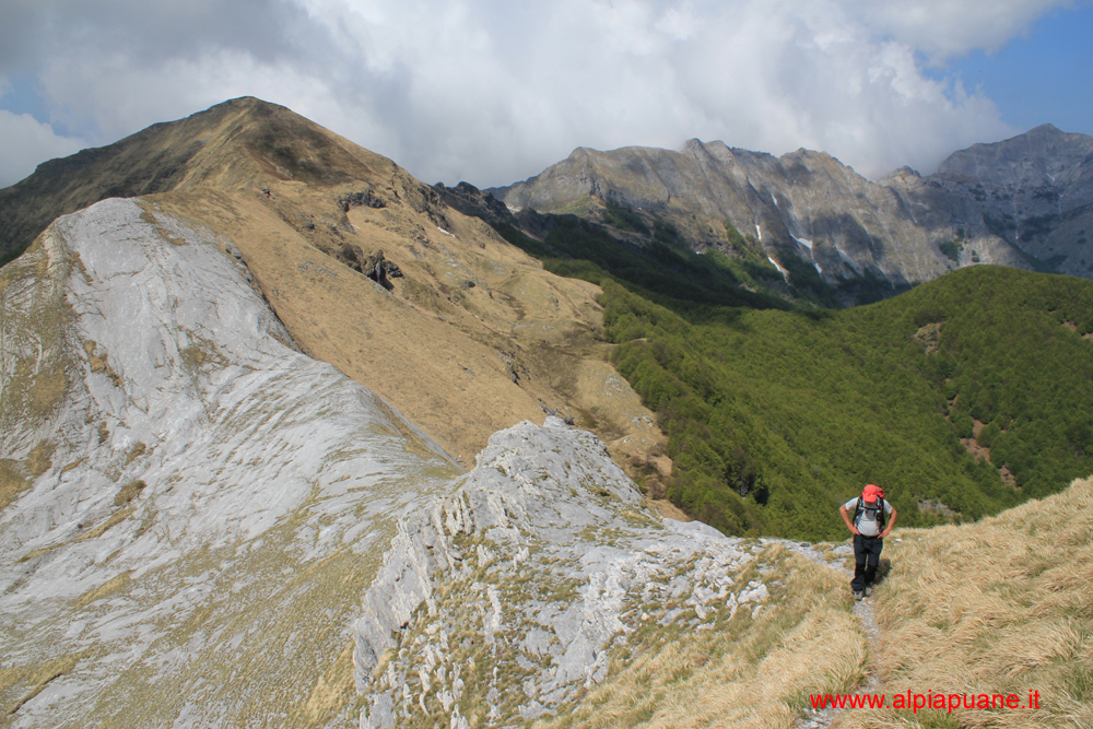 Salita alla Penna del Sumbra da Ovest, sullo sfondo il monte Fiocca, il monte Sella e la Tambura