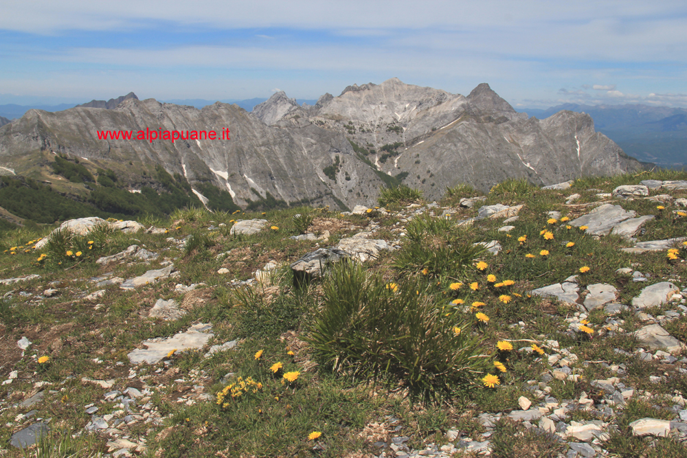 Monte Sumbra, veduta Monte Sella, Sagro, Alto Sella, Grondilice, Cavallo, Tambura, Pisanino e Roccandagia